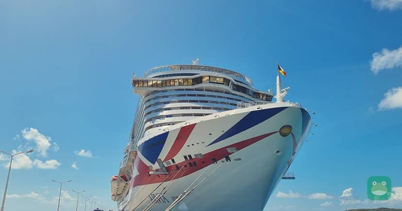 P&O Cruises' Arvia, as pictured on the MAIB's report announcement page