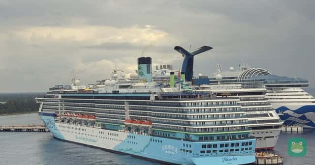 Margaritaville at Sea Islander, November 2024