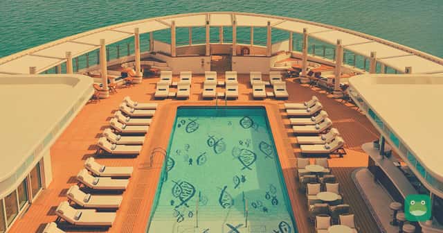 Four Seasons Yachts' inaugural vessel, Four Seasons I: the pool deck, from the operator's official launch photography.