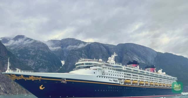 Disney Wonder