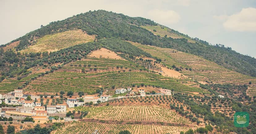Douro Elegance in the Douro Valley, Portugal, May 2023