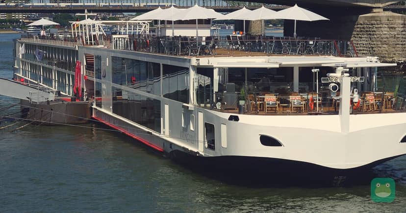 Viking Vili in Cologne, 2015