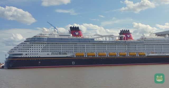 Disney Destiny