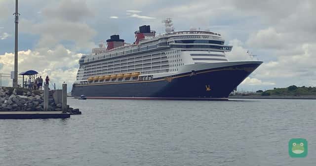 Disney Fantasy